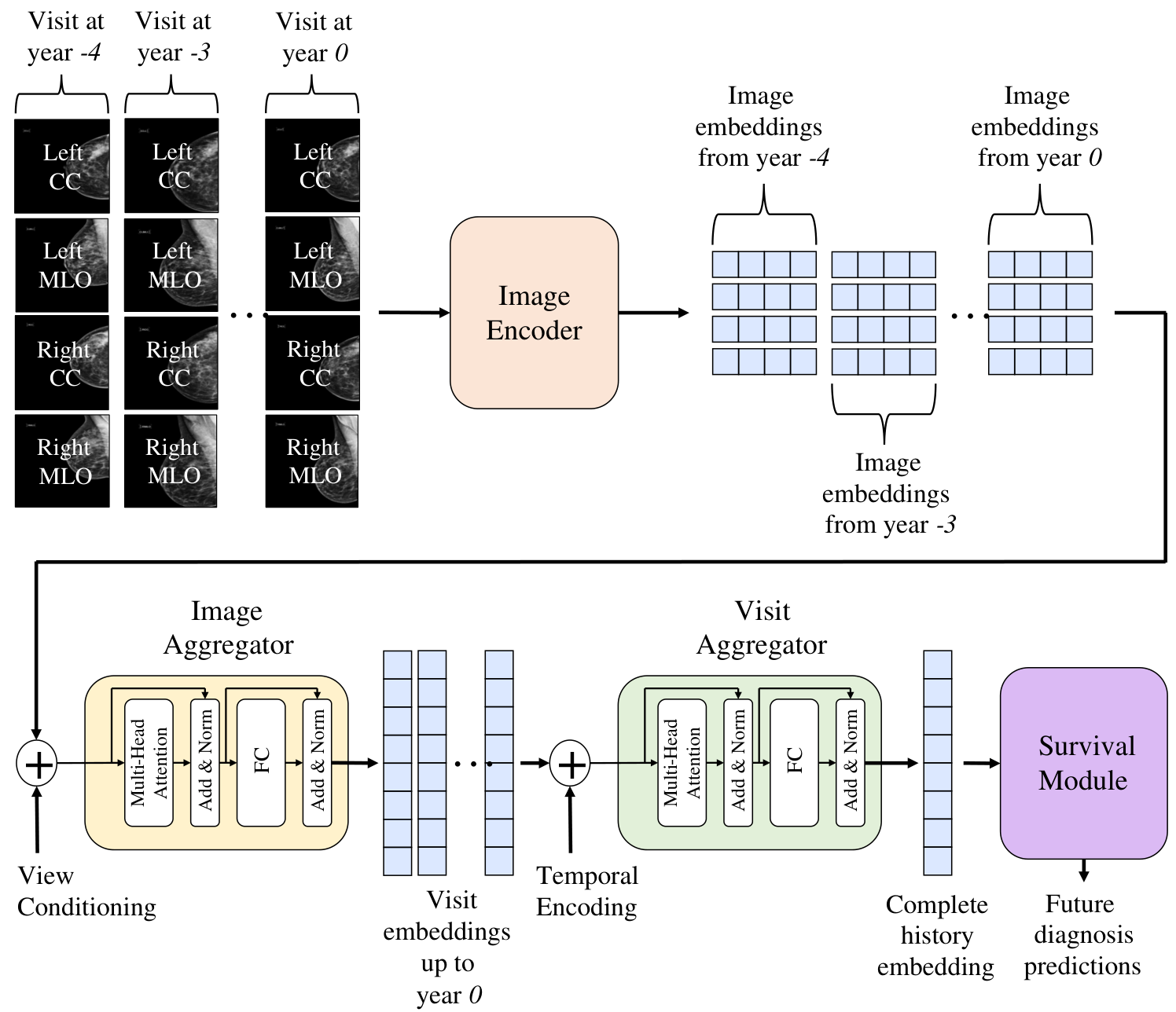 LoMaR model diagram